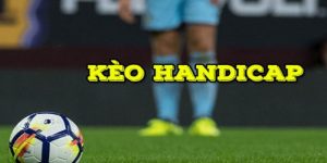 ảnh đại diện kèo handicap